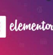 Elementor Pro original license- 1dollargpltheme