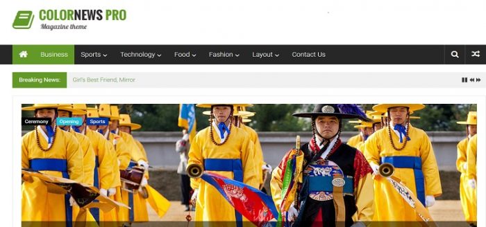 ColorNews Pro - 1dollargpltheme