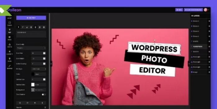 Palleon WordPress Photo Editor - 1dollargpltheme Palleon WordPress Photo Editor - 1dollargpltheme