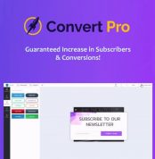 Home - 1DollarGPLTheme Convert Pro 1dollargpltheme
