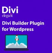 Divi Builder Plugin - 1dollargpltheme